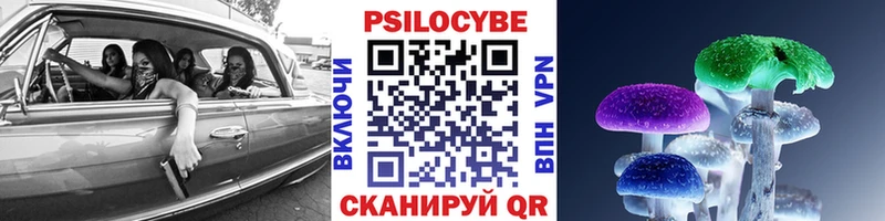 Галлюциногенные грибы Psilocybine cubensis где продают Верхний Уфалей